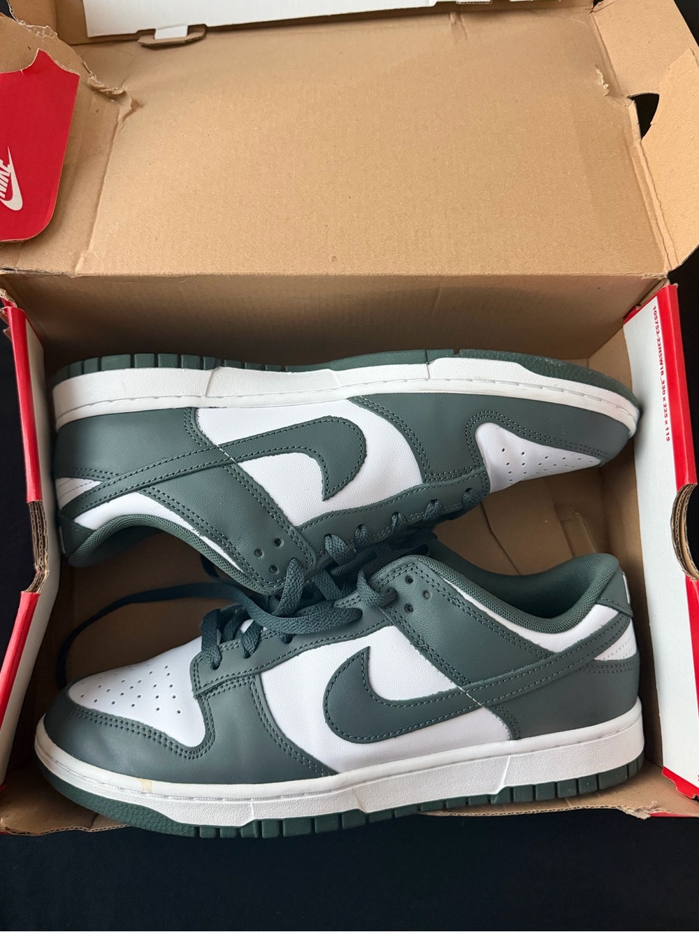 Nike Men's Dunk Low Sneakers Vintage Green